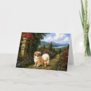 Search for tibetan cards Dog