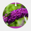 Search for cricket christmas decor Katydid