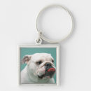 Search for surface square keychains Animal