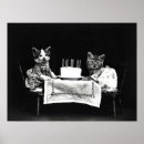 Search for funny birthday posters Cat