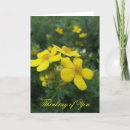 Search for poem photography Floral