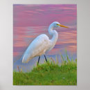 Recherche de promenade posters Oiseaux