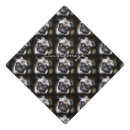 Search for pet graduation cap toppers Cute