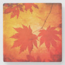 Search for maple coasters Leaves