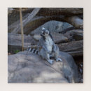 Recherche de queue puzzles Faune