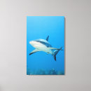 Recherche de vie marine art Danger