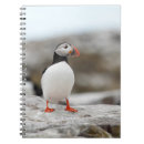 Search for puffin notebooks Wildlife