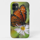 Search for flowers and butterflies iphone cases Insect