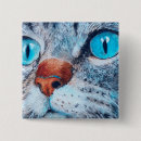 Recherche de chat observé par bleu Chaton