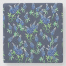 Recherche de texas bluebonnet Motif