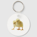Search for cute chickens keychains Chicks
