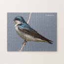 Recherche de hirondelles puzzles Faune
