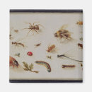 Recherche de insectes magnets Chenille