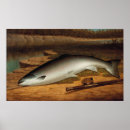 Search for catch fish posters Vintage