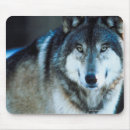 Search for timber wolf electronics Nature
