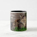 Recherche de feral tasses Chat