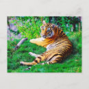 Recherche de peint main cartes postales Nature