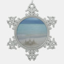 Search for snow weather ornaments Nature