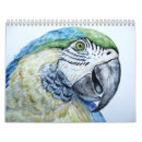 Recherche de panthère bureau fournitures Aquarelle