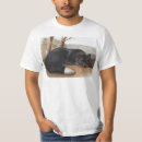 Recherche de renard argenté tshirts Faune