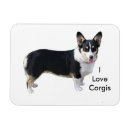 Recherche de voiture de chien magnets Animaux domestiques