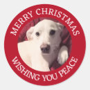 Search for cute dog stickers White