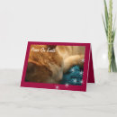 Recherche de christmas cat cartes postales Tabby