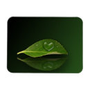 Search for drop leafs cards Water