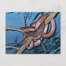 Recherche de serpent venimeux cartes postales Toxique