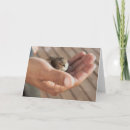 Search for sparrow cards Christian