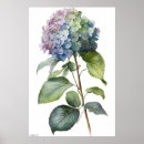 Recherche de hortensias bleus posters Pour tous