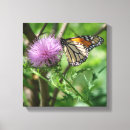 Search for thistle art Colourful