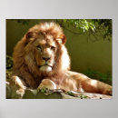 Recherche de léon posters Homme