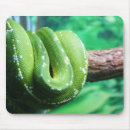 Search for boa mousepads Python