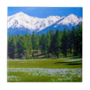 Search for horn tiles Flowers