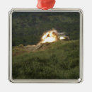 Search for explosion ornaments Destruction