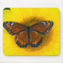 Search for vein mousepads Pink