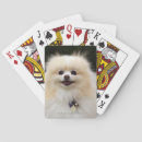 Recherche de headshot jeux de cartes Chien