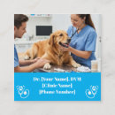 Recherche de clinique animale cartes visite Doctor