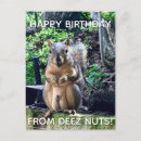 Search for funny squirrel birthday postcards Humourous