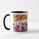 Search for fremont mugs Washington