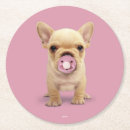 Recherche de bouledogue français bar Nouveau bébé