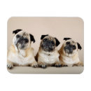 Recherche de en ligne magnets Famille