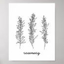 Search for herb illustration posters Kitchen