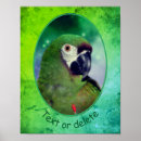 Search for parrot posters Animal