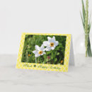 Search for march birthday cards Narcissus