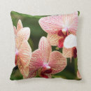 Search for south africa pillows Nature