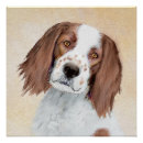 Search for irish setter posters Red