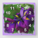 Search for iris clocks Botanical