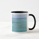 Search for great barrier reef mugs Queensland